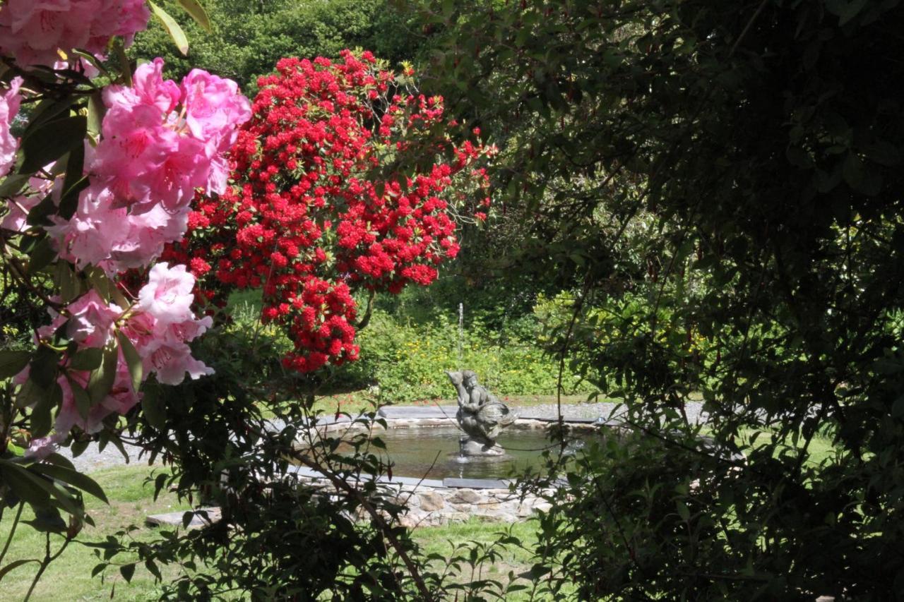 Devon Country Paradise Tavistock  Esterno foto