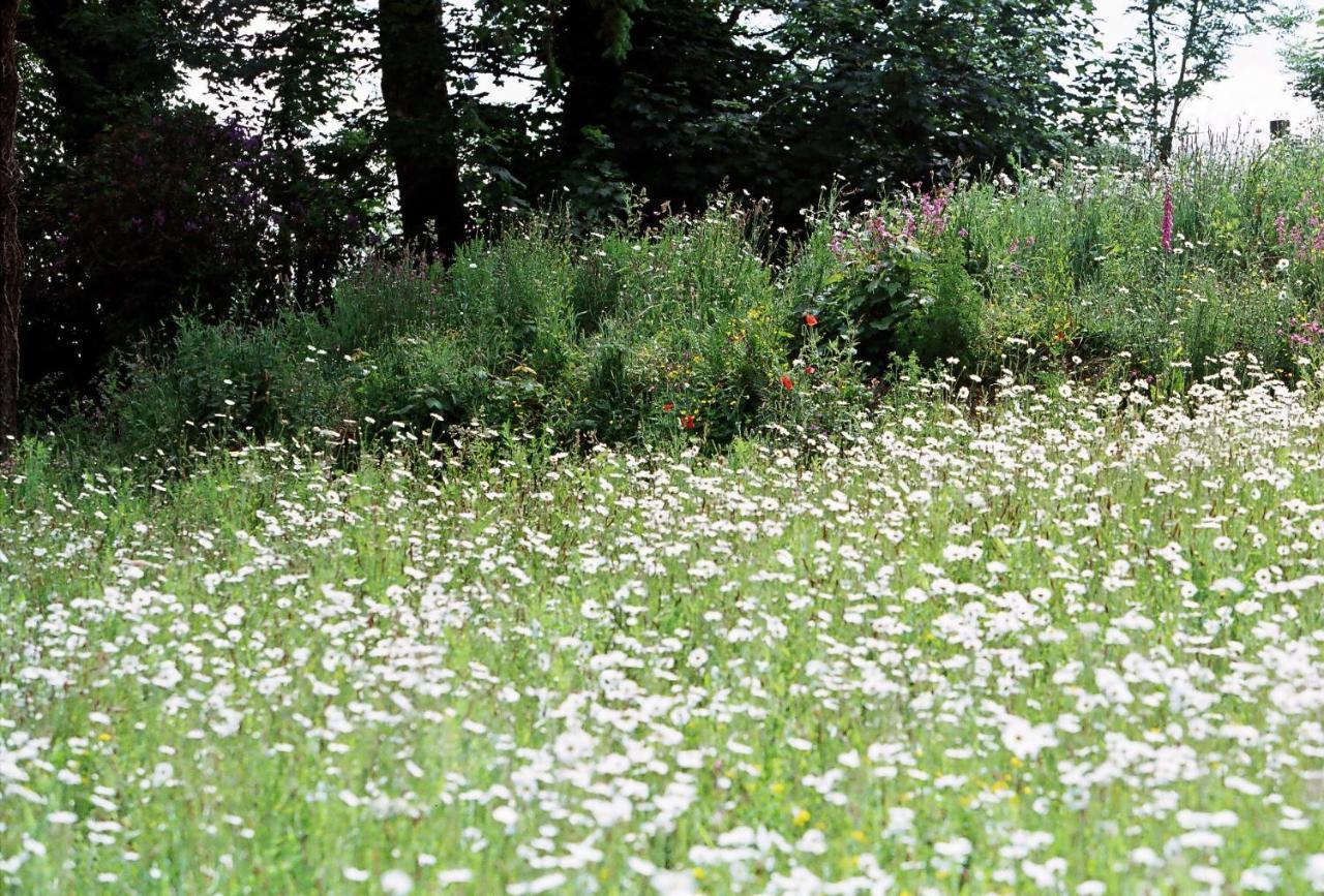 Devon Country Paradise Tavistock  Esterno foto