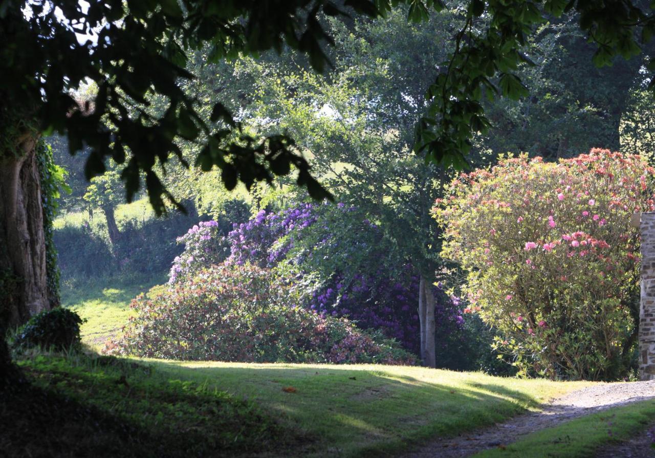 Devon Country Paradise Tavistock  Esterno foto