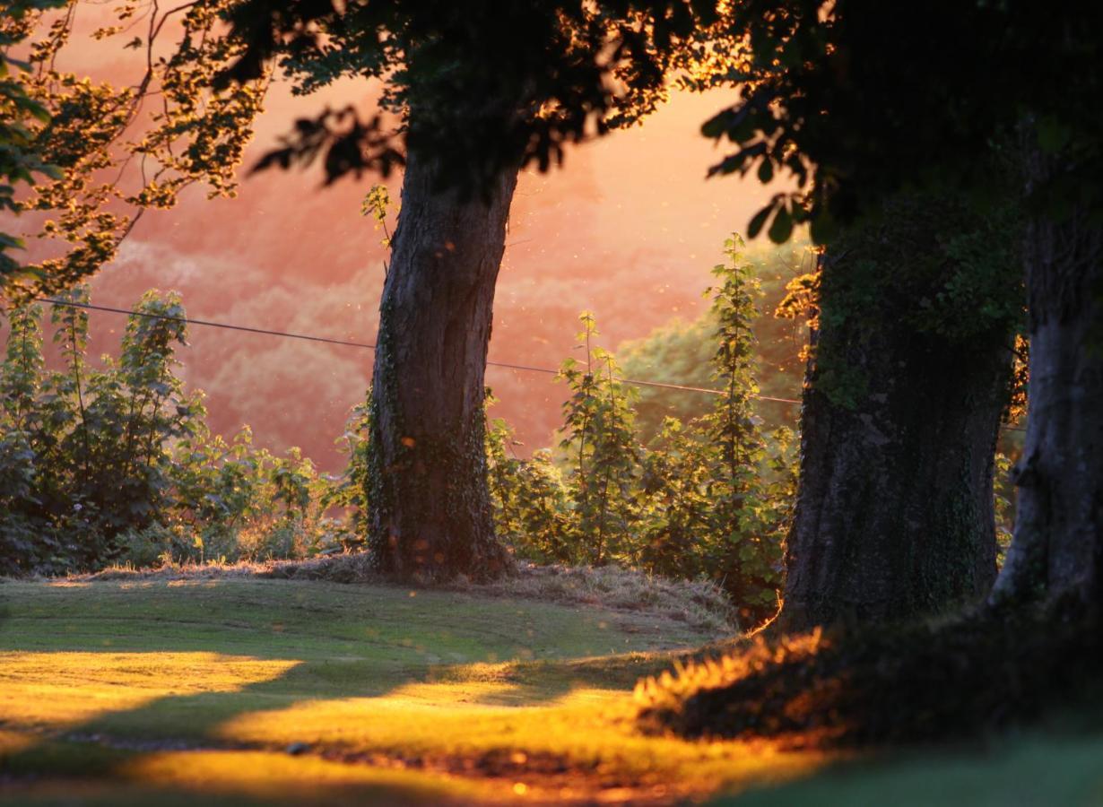 Devon Country Paradise Tavistock  Esterno foto