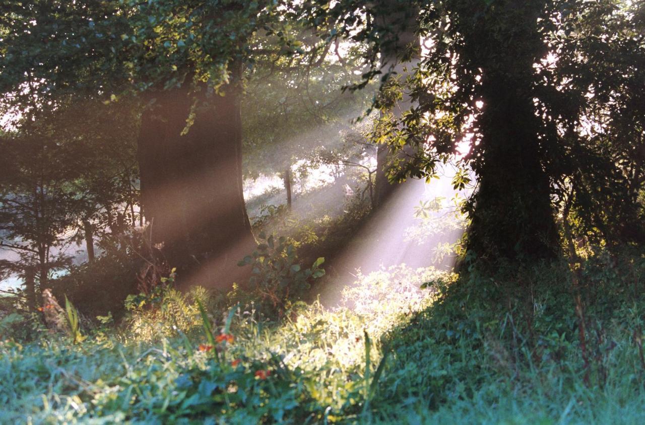 Devon Country Paradise Tavistock  Esterno foto