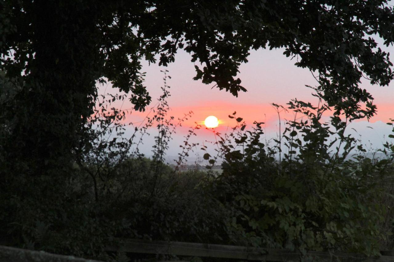 Devon Country Paradise Tavistock  Esterno foto