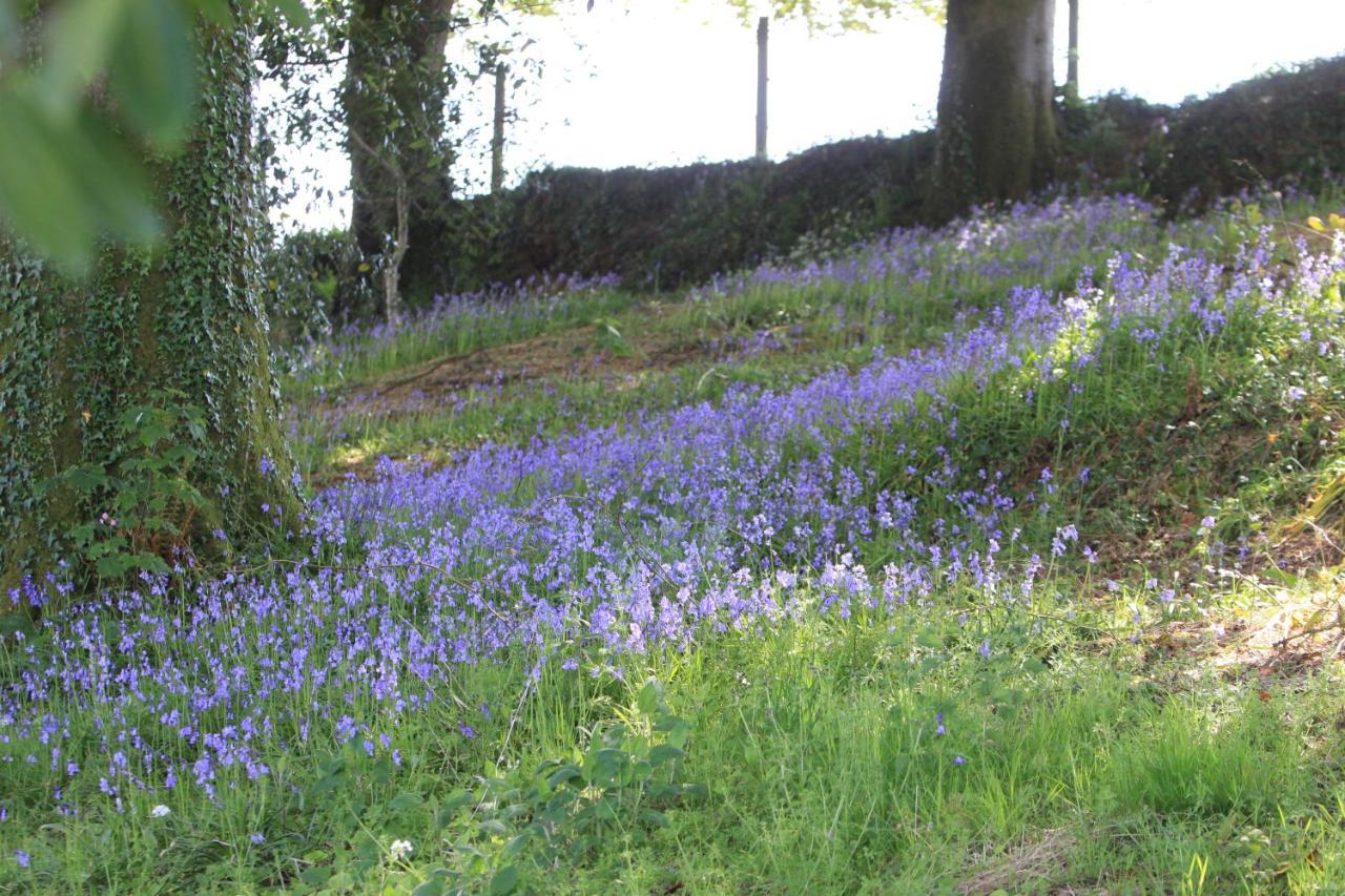 Devon Country Paradise Tavistock  Esterno foto