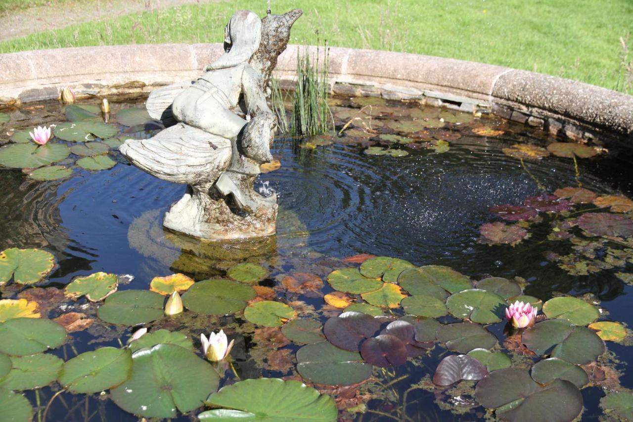 Devon Country Paradise Tavistock  Esterno foto