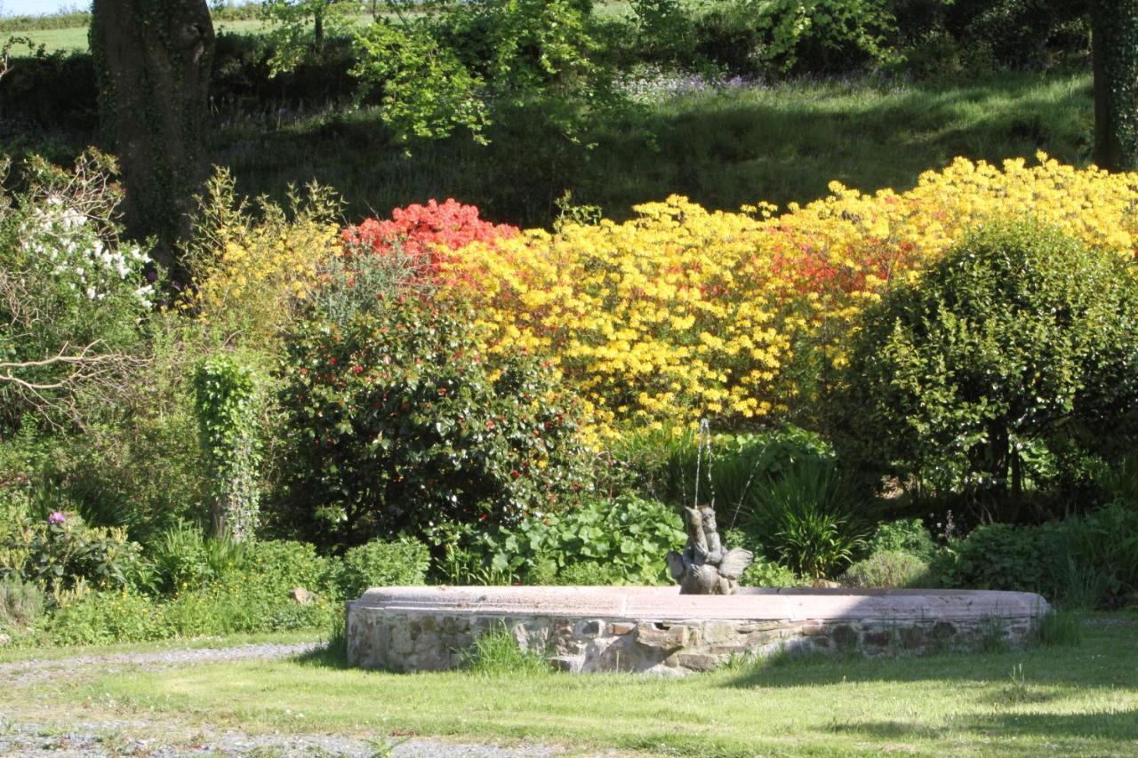 Devon Country Paradise Tavistock  Esterno foto